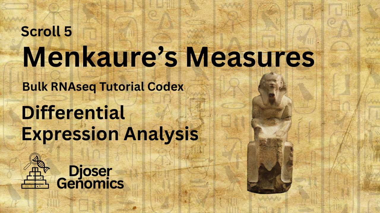 Scroll 5: Menkaure's Measures